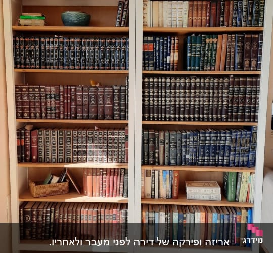 שתי כונניות ספרים עם ספרים מסודרים ומנורה למעלה